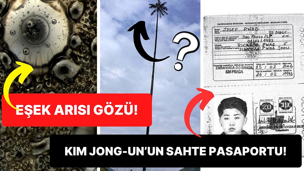 Tarihten Günümüze Hayatı Sorgulamanıza Sebep Olmaya Aday Birbirinden İlginç 17 Görsel