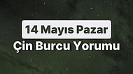 14 Mayıs Pazar Çin Burcuna Göre Günün Nasıl Geçecek?