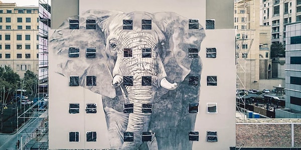 1. Граффити со слоном в Йоханнесбурге (Южная Африка).