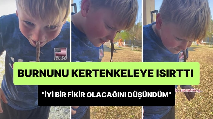 'İyi Bir Fikir' Olacağını Düşünerek Bahçede Bulduğu Kertenkeleye Burnunu Isırtan Çocuk