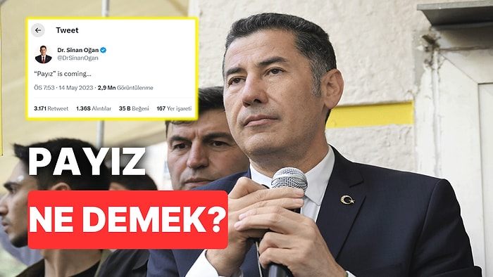 Payız Ne Demek, Ne Anlama Gelir? Sinan Oğan Neden "Payız Is Coming" Yazdı?