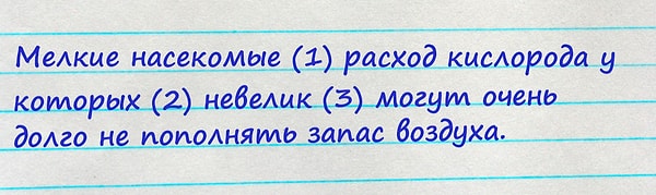 3. Расставьте все знаки препинания: выберите вариант, в котором правильно указан порядок цифры(-р), на месте которой(-ых) в предложении должна(-ы) стоять запятая(-ые).