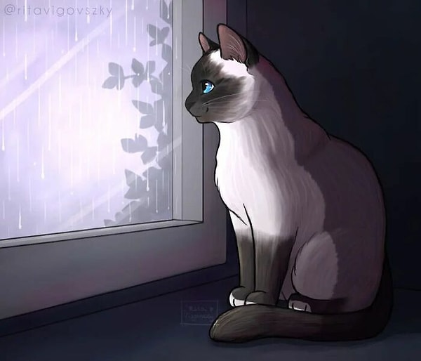 17. Дожливый день