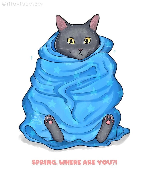 22. «Весна, ты где?»