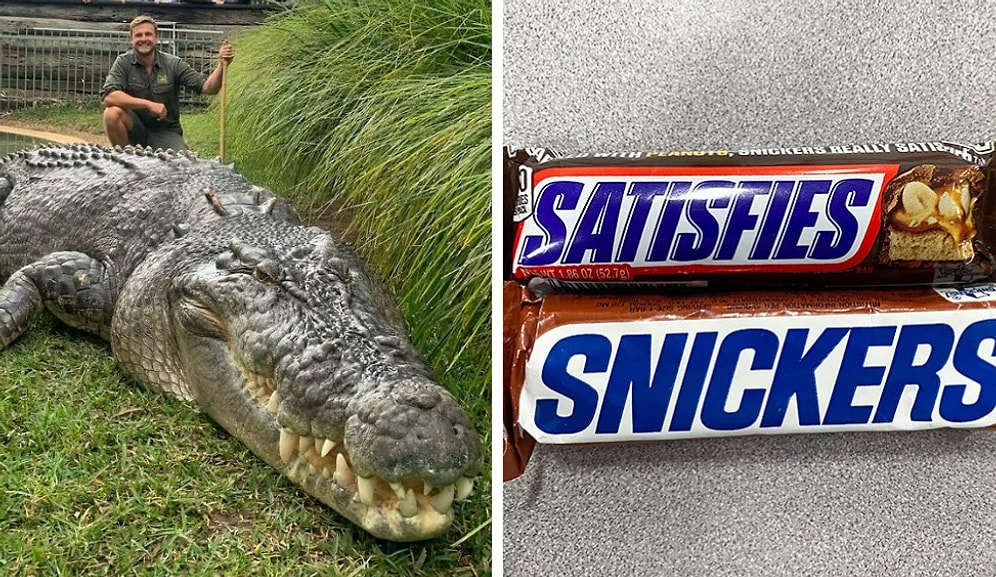 30 удивительных сравнений, которые повернут ваше восприятие мира на 180°