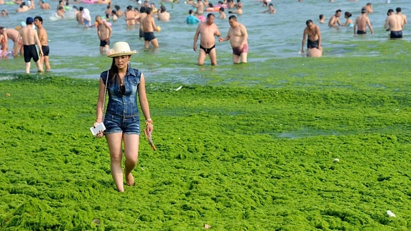 Власти ежегодно борются с такими «развлечениями», но пока безуспешно, ведь именно так китайцы спасаются от знойной жары.