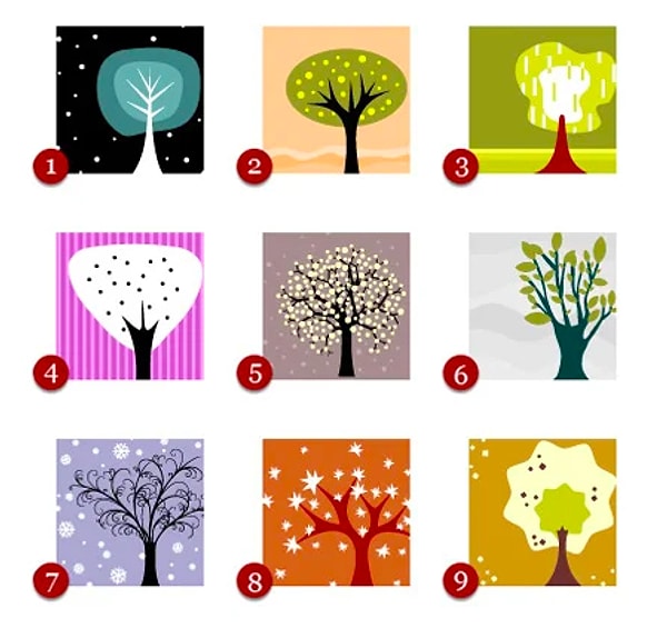 Выбирайте дерево: