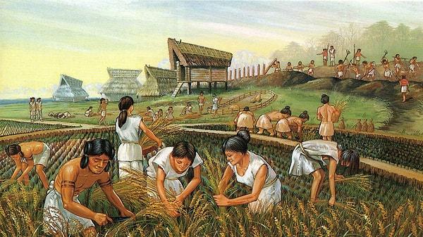 İnsanların tahıl yetiştirmeye başlamasıyla birlikte fermantasyon yani mayalama süreci doğal olarak ortaya çıktı.