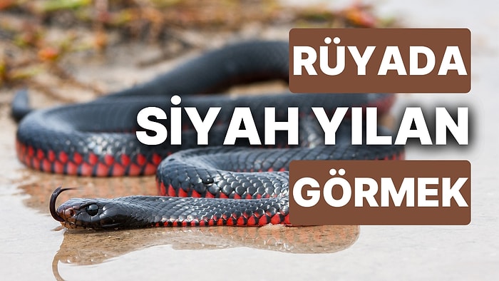 Rüyada Siyah Yılan Görmek: Sinsi Düşmanlara ve Hain Planlara Karşı Tetikte Olmalısınız!