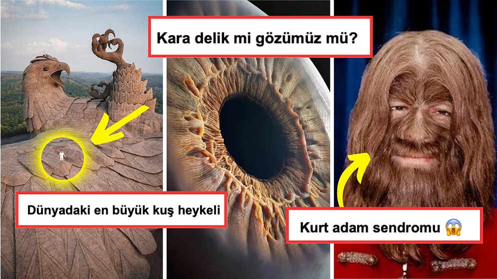 Gördükten Sonra Dünyaya Bakış Açınızı Değiştirecek Her Biri Birbirinden Enteresan 15 Görsel