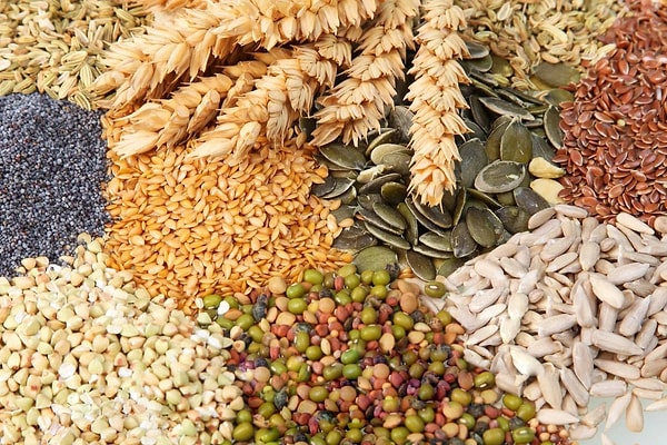 10. К какому классу относится семейство злаки?