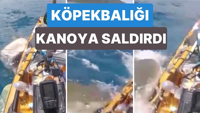 Kanosuyla Balık Tuttuğu Sırada Köpek Balığı Saldırısına Uğrayan Balıkçı