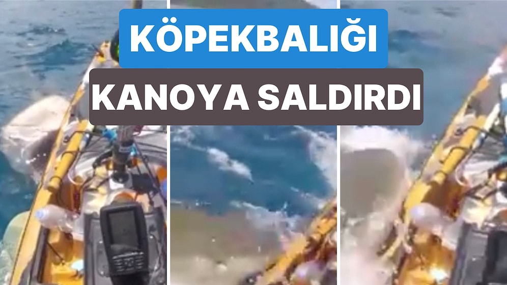Kanosuyla Balık Tuttuğu Sırada Köpek Balığı Saldırısına Uğrayan Balıkçı