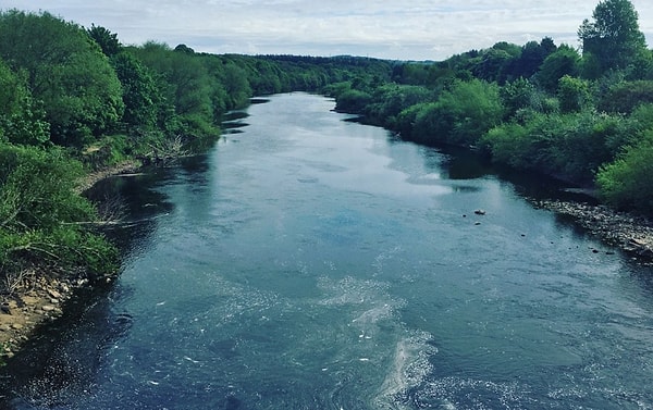 13. Как называется начало реки?