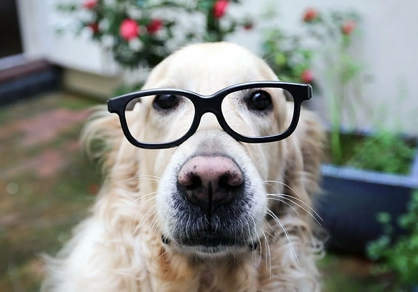 А вы хороший мальчик! Или девочка?