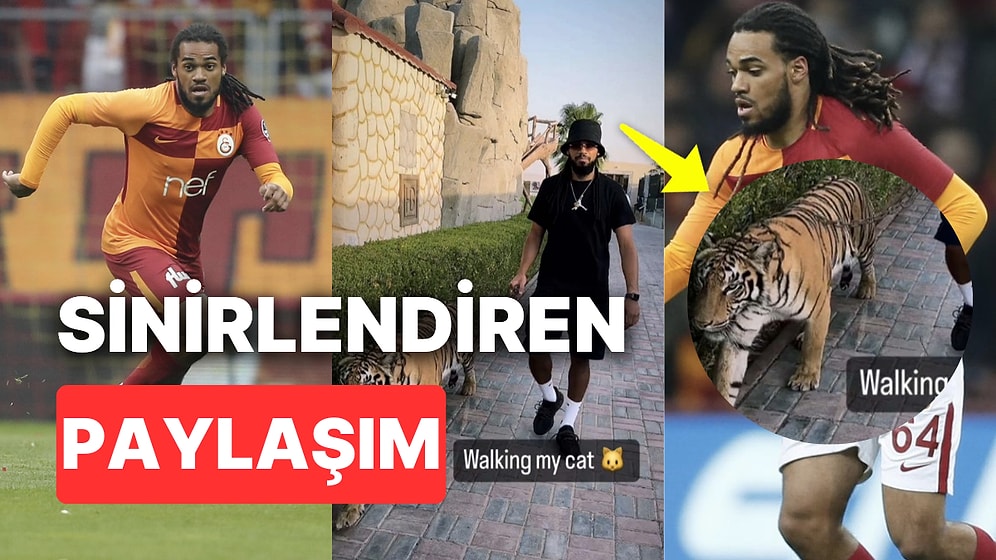 Galatasaray'ın Eski Yıldızı Jason Denayer Tasmalı Kaplan Gezdirince Hayvanseverleri Çıldırttı