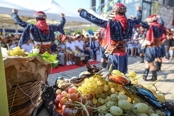 Grape Harvest Festivals