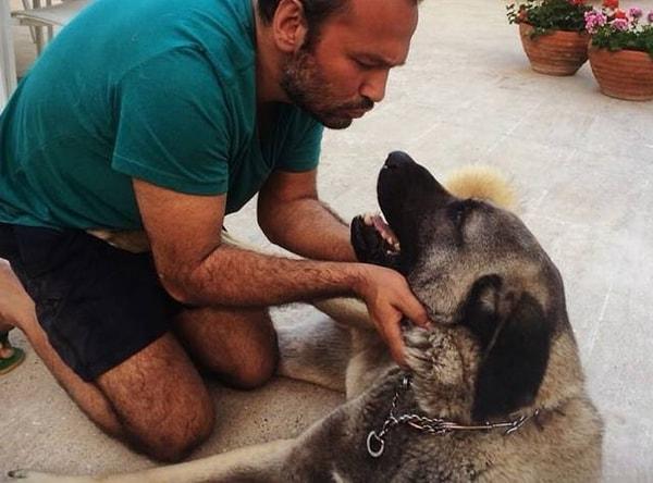 Ünlü oyuncu Ali Sunal, sosyal medya hesabından yaptığı duygusal paylaşımla gündeme geldi. Sunal, köpeği Patron'un hayatını kaybettiğini duyurdu.