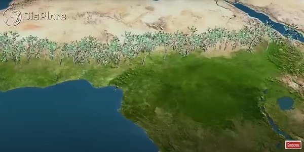 В рамках этого проекта, который является мерой противодействия проблеме опустынивания, от которой, как считается, страдают 500 миллионов человек, планируется лесовосстановление от западной оконечности Африки до восточной оконечности.