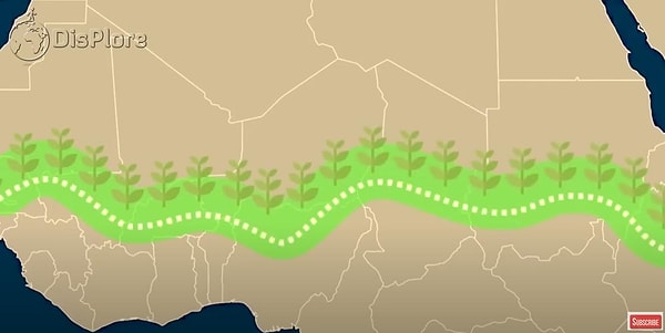 Проект, который осуществляют совместные лидеры 11 стран, имеет и политический успех.