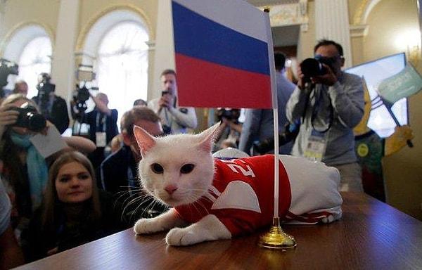 Ahtapot Paul'un ardından Rusya'daki Dünya Kupası'nda "Kahin Kedi Aşil" bu bayrağı devralmış ve hepimizin ilgisini çekmişti.