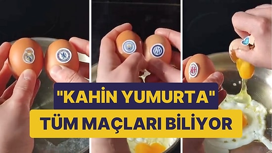 Şampiyonlar Ligi'nde Tüm Maçları Bilen "Kahin Yumurta" Final İçin Yaptığı Tahminde Başarılı Olabilecek mi?