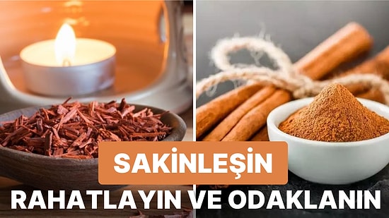 Kokuların Gücüne İnanın: Ruh Halinize İyi Gelecek ve Üretkenliğinizi Artıracak Kokular