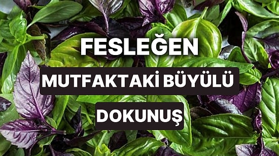 Fesleğen Bakımı: Yemeklerin Tadına Tat Katan Fesleğen Nasıl Yetiştirilir, Faydaları Nelerdir?