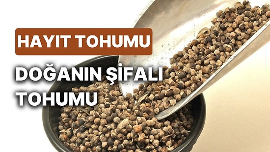 Hayıt Tohumu Faydaları Nelerdir? Hayıt Tohumu Çayı Nasıl Hazırlanır ve Ne İşe Yarar?