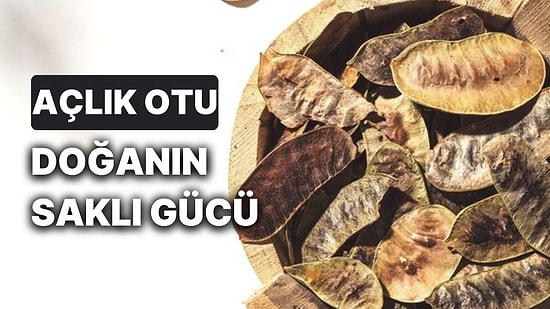 Açlık Otu Faydaları Nelerdir? Açlık Otu Doğal Bir İştah Bastırıcı mıdır?