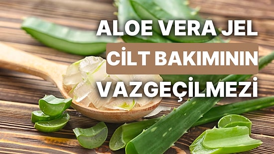 Aloe Vera Jelin Faydaları Nelerdir, Nasıl Kullanılır? Aloe Vera Jelinin Yapılışı