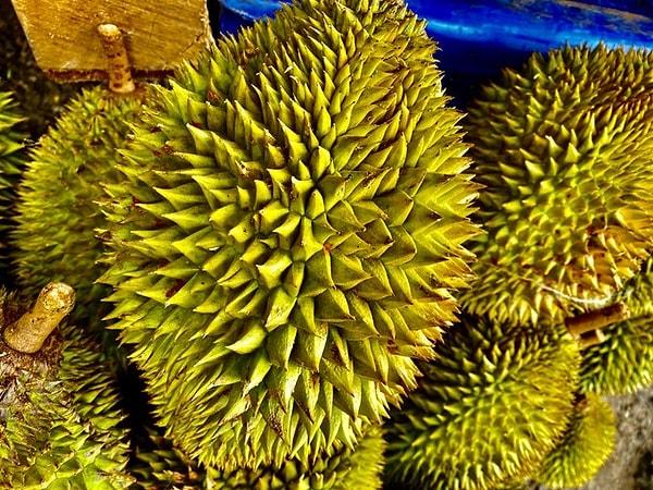 2. Durian tohumları da yenilebilir ancak yemeden önce pişirmeniz gerekir. Nasıl mı?👇