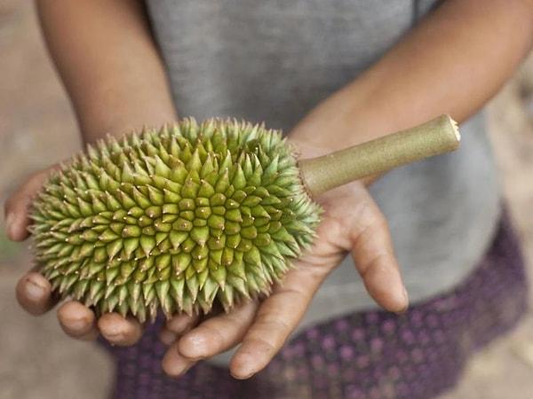 7. Durian yedikten sonra alkol almamanız gerektiğine dair yaygın inanışın doğruluk payı vardır.