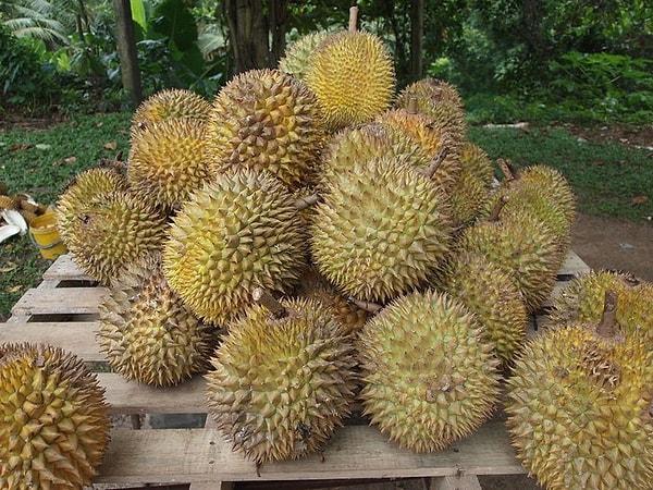9. Durian meyveleri bir uçağa acil iniş yaptırdı.