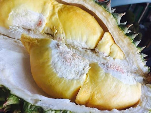 11. Uzmanlar, durian meyvesinin sağlığa faydası konusunda uzlaşmış değil.