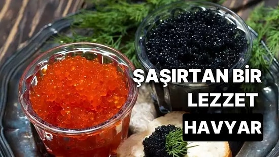 Havyarın Besin Değeri Nedir? Lüks Yiyecekler Arasında Yer Alan Havyarın Besin Değerleri Nedir?