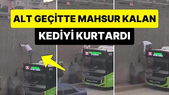 Süper Kahramanlarımız Hep Yollarda: Alt Geçitte Mahsur Kalan Kediyi Kurtaran Güzel Yürekli Otobüs Şoförü