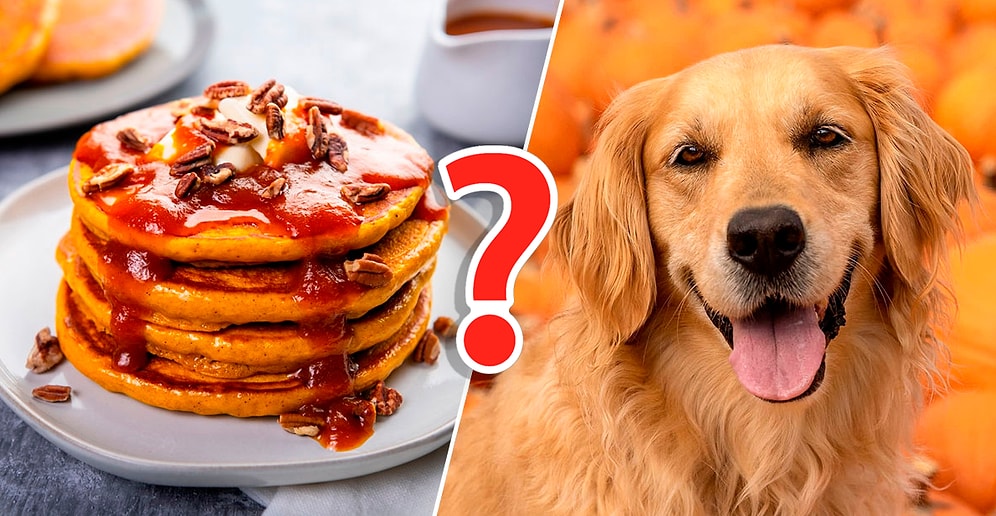 Тест: Выберите любимые блюда🍓, а мы скажем, какая порода 🐶 собак вам подходит