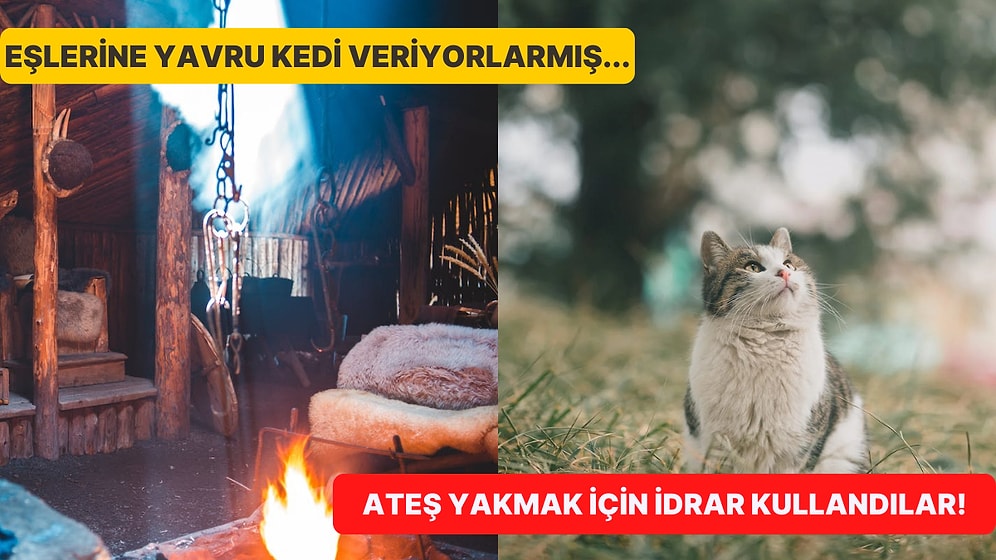 Vikinglerle İlgili Duyunca Şaşıracağınız Ortamlarda Satabileceğiniz 10 Acayip Bilgi