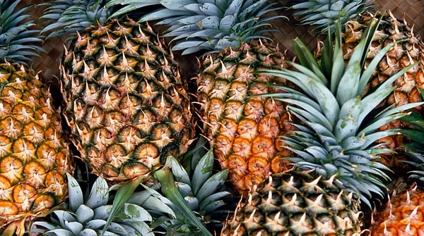 Вы — ананас!