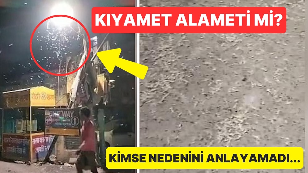 Bunu da Gördük: Gökten Solucan Yağdığı İddia Edildi!