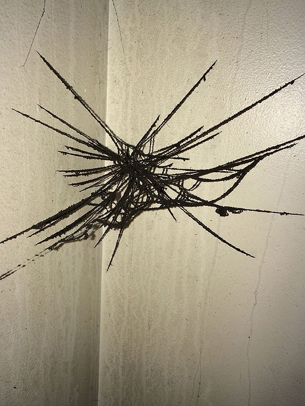 25. Покрытая копотью паутина