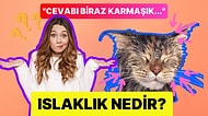 İnsan Bir Cismin Islak Olup Olmadığını Nasıl Anlar?