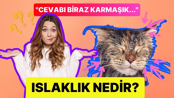 İnsan Bir Cismin Islak Olup Olmadığını Nasıl Anlar?