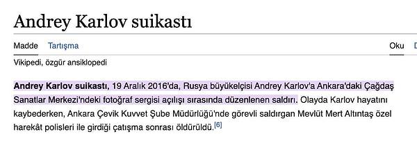Bu paylaşımın ise Ankara'da Rusya Büyükelçisi Andrey Karlov'a yapılan saldırı ile bağlantılı olabileceği düşünüyor.