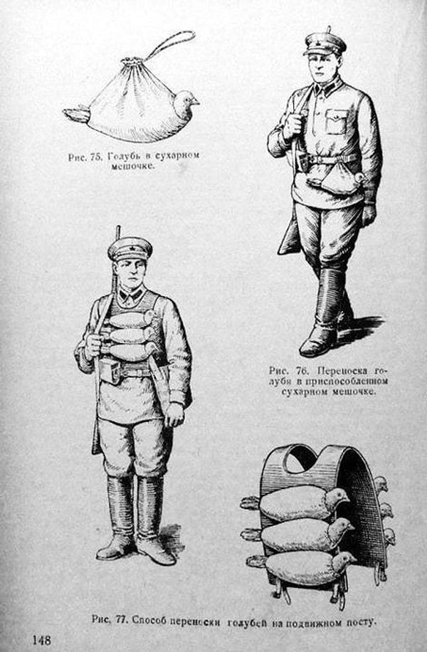 9. Güvercin yeleğinin nasıl giyileceğini gösteren Sovyet askeri talimatları, 1937 👇