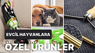 Uzmanlara Göre Evcil Hayvanı Olanlara Büyük Yardımcı Olan Temizleme Ürünleri