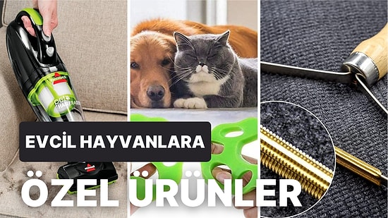 Uzmanlara Göre Evcil Hayvanı Olanlara Büyük Yardımcı Olan Temizleme Ürünleri