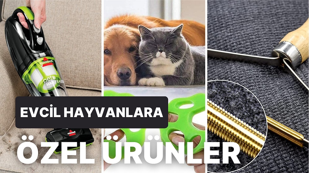Uzmanlara Göre Evcil Hayvanı Olanlara Büyük Yardımcı Olan Temizleme Ürünleri
