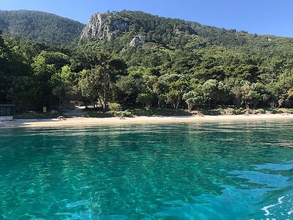 Гюзельчамлы